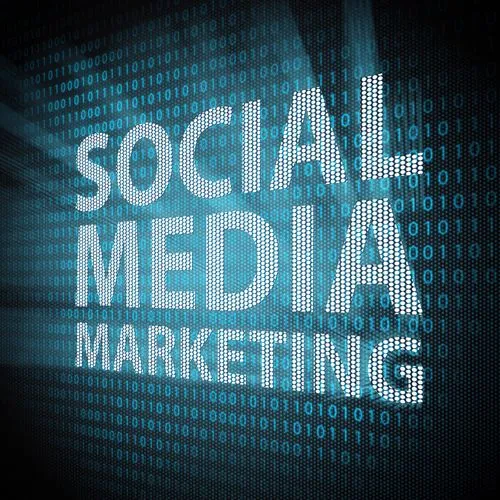 expert digital marketer